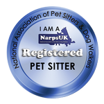 pet sitter